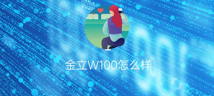 金立W100怎么样