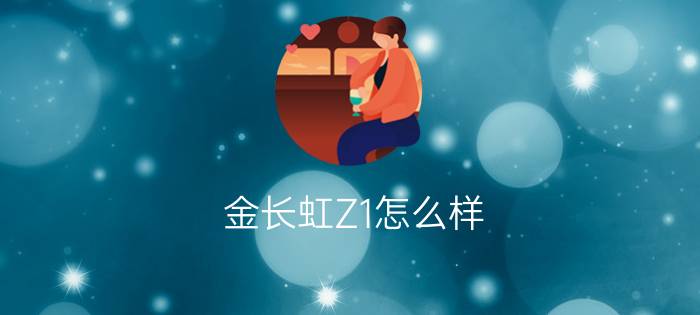 金长虹Z1怎么样