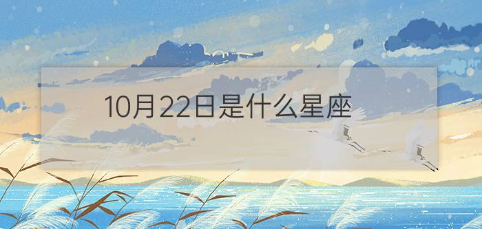 10月22日是什么星座