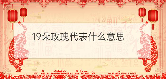 19朵玫瑰代表什么意思