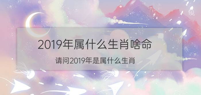 2019年属什么生肖啥命(请问2019年是属什么生肖)