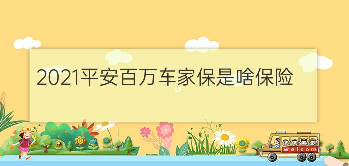 2021平安百万车家保是啥保险?好不好?有必要买吗?和驾乘险哪个好