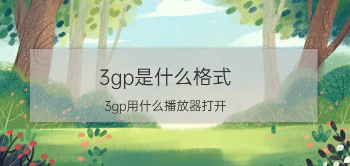 3gp是什么格式（3gp用什么播放器打开）