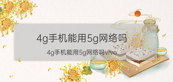 4g手机能用5g网络吗(4g手机能用5g网络吗vivo)