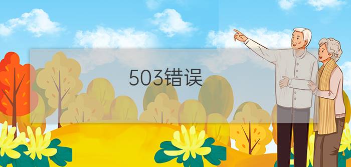 503错误