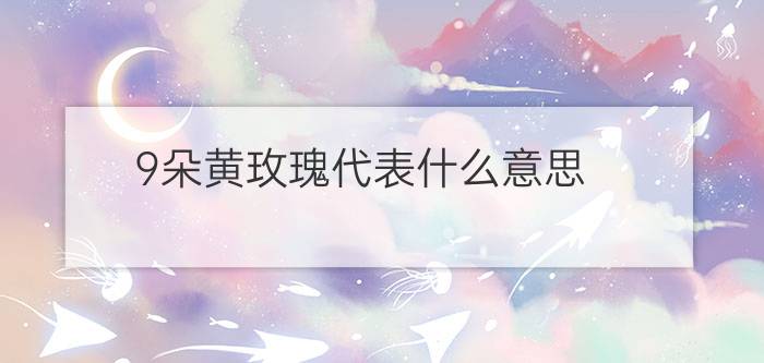 9朵黄玫瑰代表什么意思