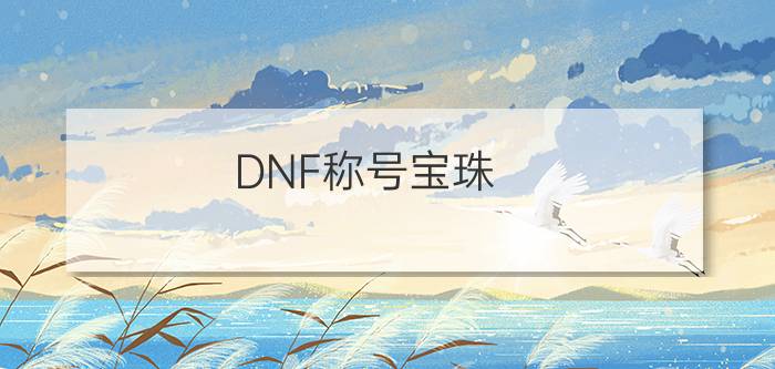 DNF称号宝珠