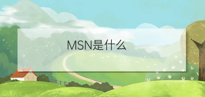 MSN是什么