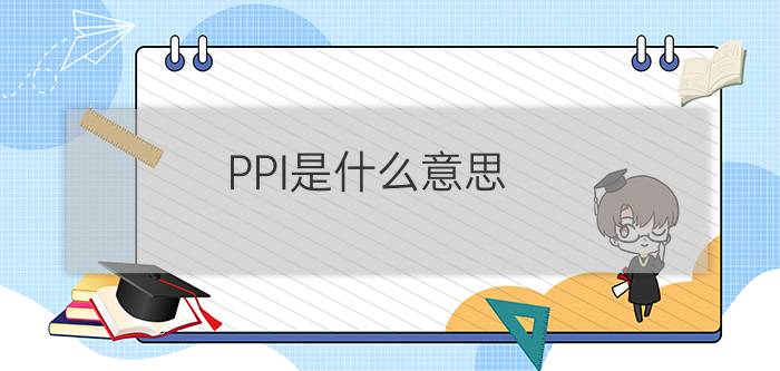 PPI是什么意思