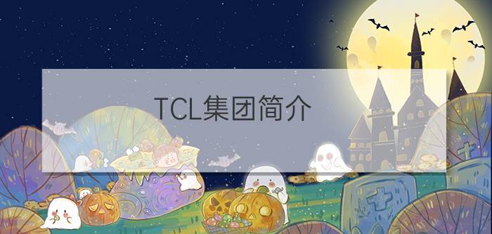 TCL集团简介