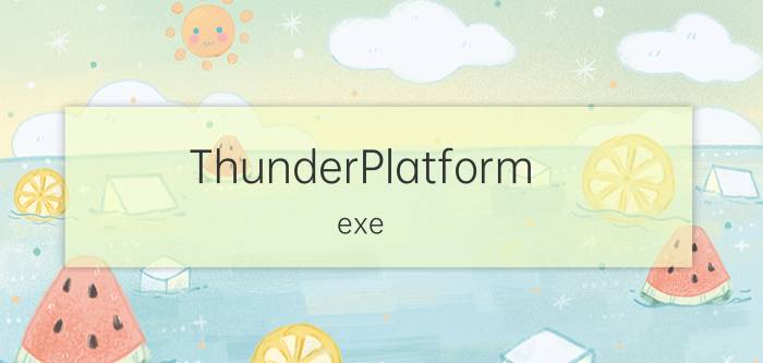 ThunderPlatform.exe-损坏的图像，怎么解决