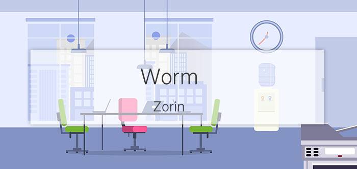 Worm.Zorin.a病毒是什么