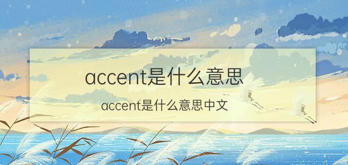 accent是什么意思（accent是什么意思中文）