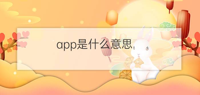 app是什么意思