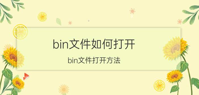 bin文件如何打开（bin文件打开方法）