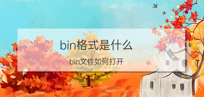 bin格式是什么？bin文件如何打开？