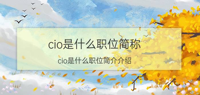 cio是什么职位简称（cio是什么职位简介介绍）