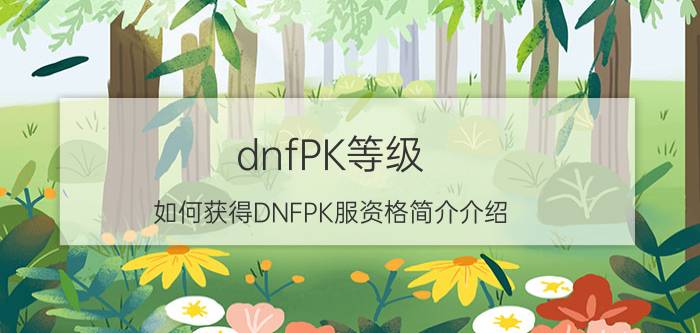 dnfPK等级（如何获得DNFPK服资格简介介绍）