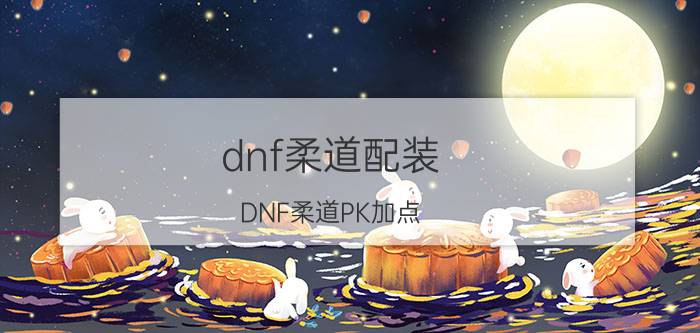 dnf柔道配装（DNF柔道PK加点）