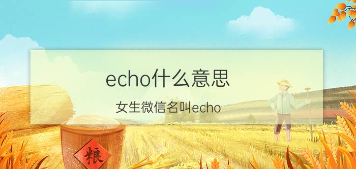 echo什么意思(女生微信名叫echo)