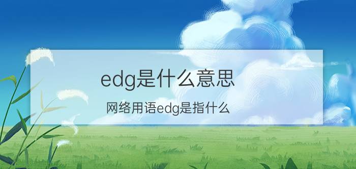 edg是什么意思(网络用语edg是指什么)