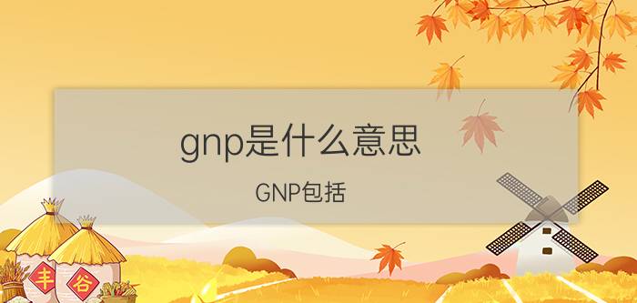 gnp是什么意思(GNP包括)