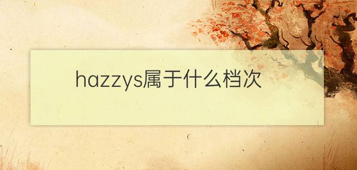 hazzys属于什么档次