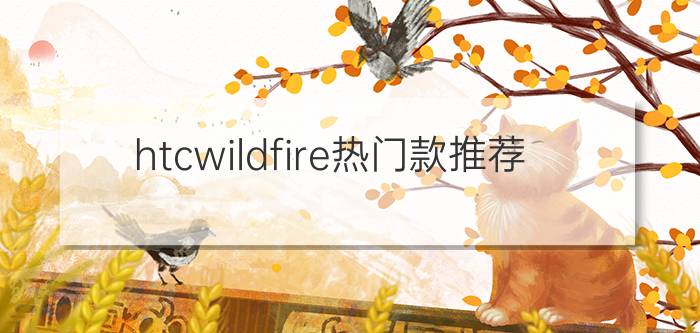 htcwildfire热门款推荐