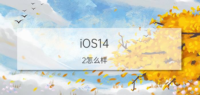 iOS14.2怎么样