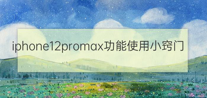 iphone12promax功能使用小窍门