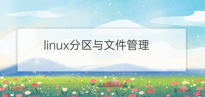 linux分区与文件管理