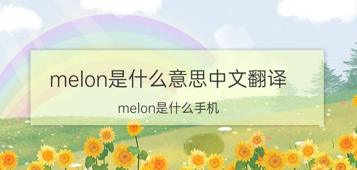 melon是什么意思中文翻译（melon是什么手机）