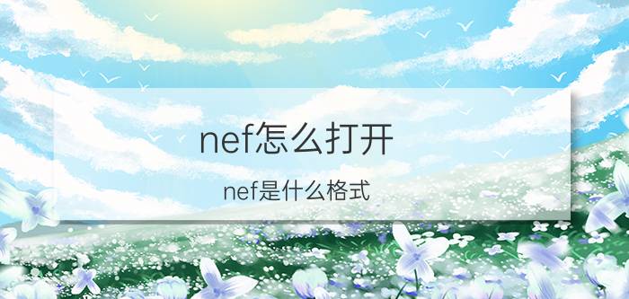 nef怎么打开？nef是什么格式？