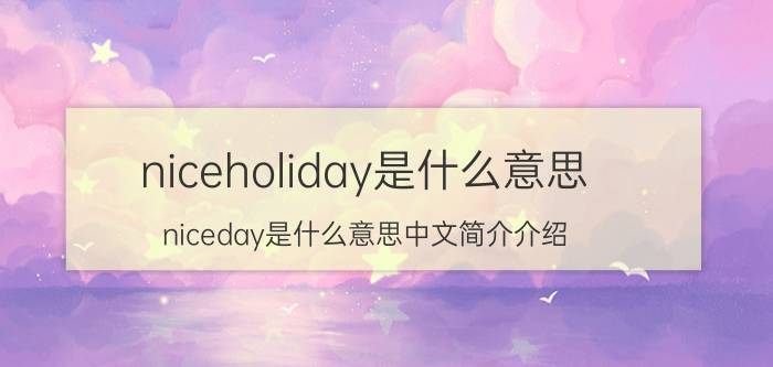 niceholiday是什么意思（niceday是什么意思中文简介介绍）