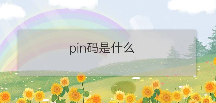 pin码是什么