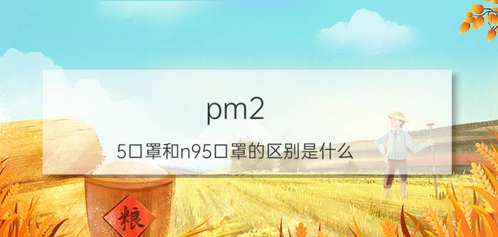 pm2.5口罩和n95口罩的区别是什么