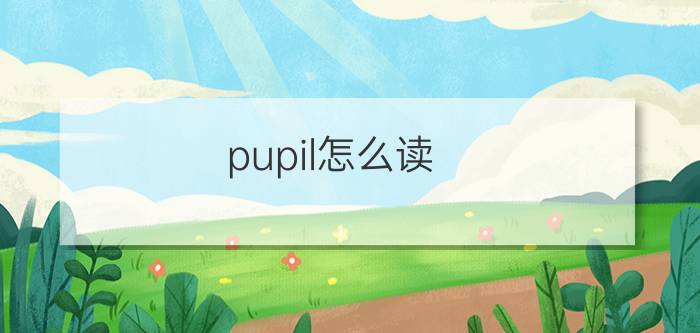 pupil怎么读