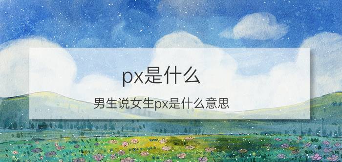 px是什么(男生说女生px是什么意思)