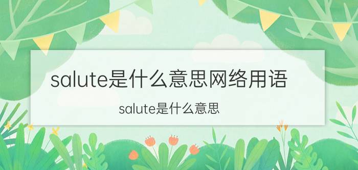 salute是什么意思网络用语（salute是什么意思）