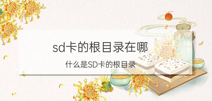 sd卡的根目录在哪（什么是SD卡的根目录?）