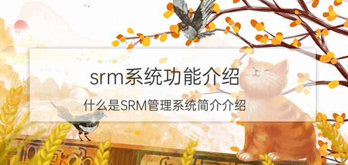 srm系统功能介绍（什么是SRM管理系统简介介绍）