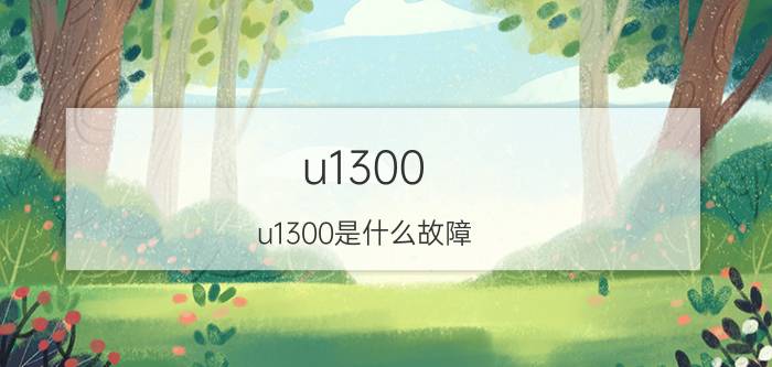 u1300(u1300是什么故障)