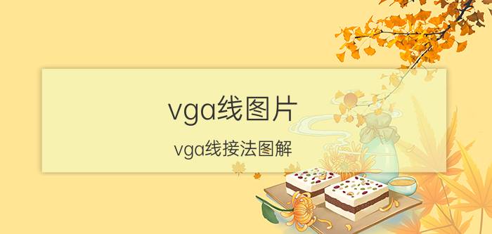 vga线图片（vga线接法图解）