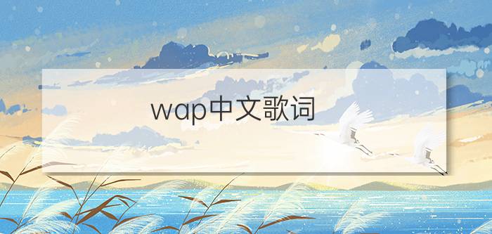 wap中文歌词