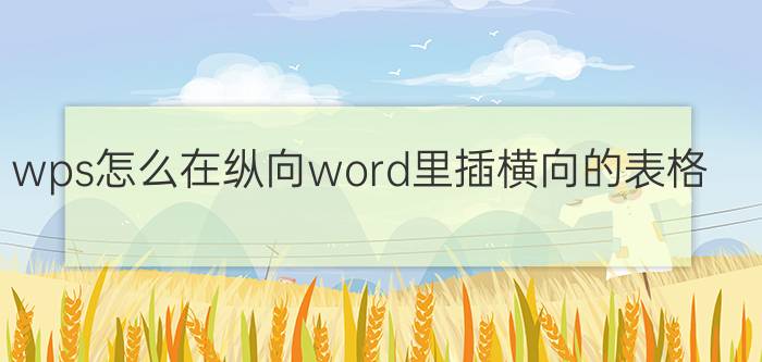 wps怎么在纵向word里插横向的表格