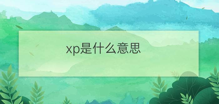 xp是什么意思