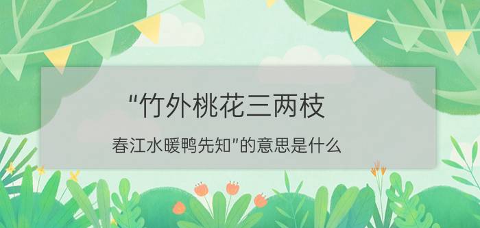 “竹外桃花三两枝,春江水暖鸭先知”的意思是什么