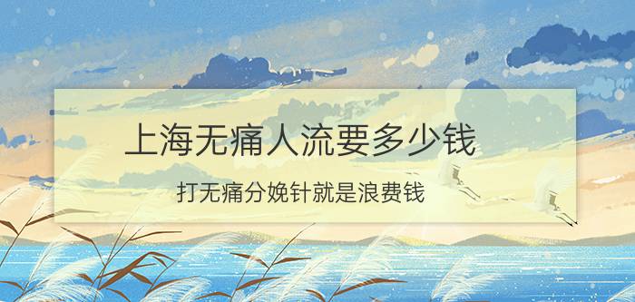 上海无痛人流要多少钱（打无痛分娩针就是浪费钱）