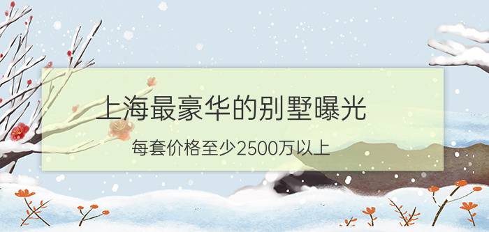 上海最豪华的别墅曝光（每套价格至少2500万以上）