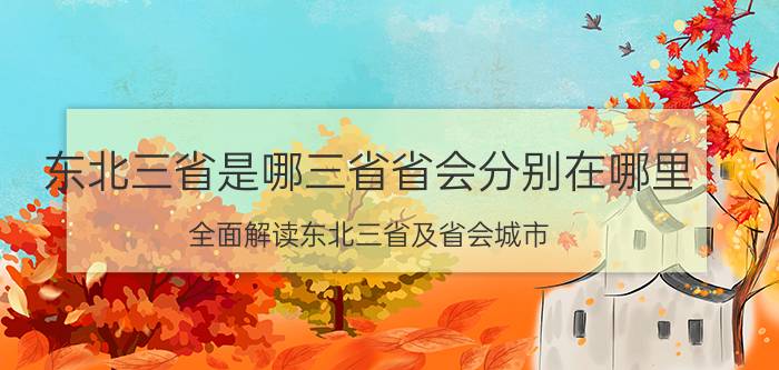 东北三省是哪三省省会分别在哪里（全面解读东北三省及省会城市）